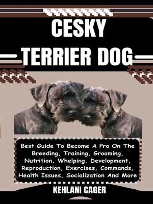 cover image of CESKY TERRIER DOG